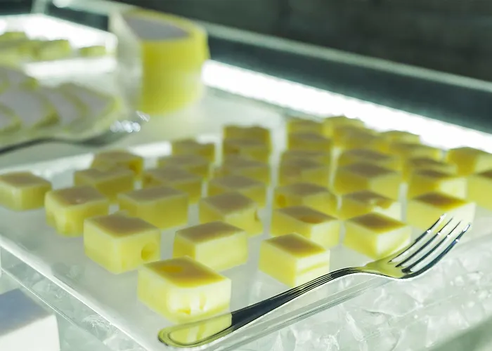 Hf Fenix Music Hotel