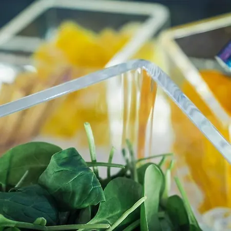 Hf Fenix Music Hotel 3*